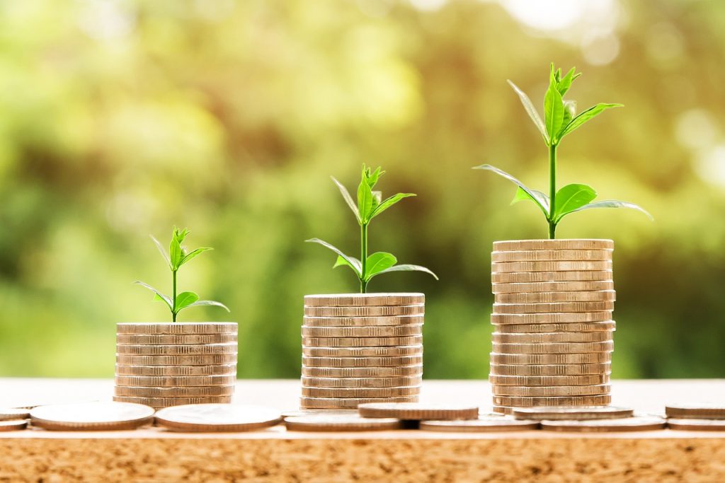 Ordinances are introduced by the government as a means of promoting private sector investment